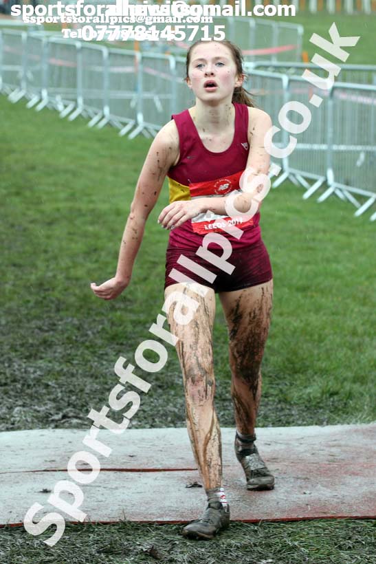Senior girls 2019 New Balance English Schools Cross Country Champs, Temple Newsam, Leeds. Photo:  David T. Hewitson/Sports for All Pics